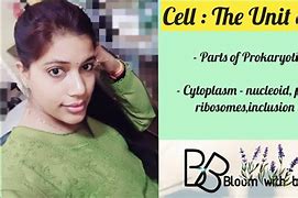 Image result for Anatomy of a Bacterial Cell