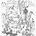 Image result for Kids Coloring Forest