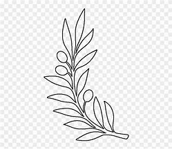 Image result for Olive Branch Curved