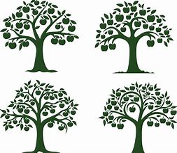 Image result for Apple Tree Silhouette Vector