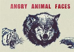 Image result for Angry Animal Face