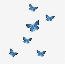 Image result for Butterflies Clip Art Baby Blue Flying