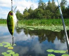 Image result for Fishing 4K BC Wallpaper