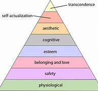 Image result for Psychology Pyramid