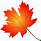 Image result for Maple Leaf Vector Clip Art