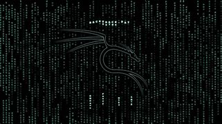 Image result for Kali Linux Hacker Backgrounds