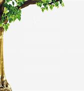 Image result for Tree Branch Border Clip Art