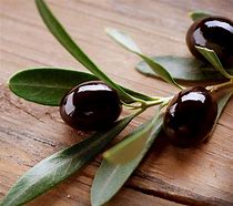 Image result for Desktop Wallpaper 4K Olive Branch