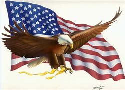 Image result for Patriotic Eagle Clip Art