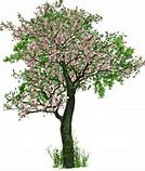 Image result for Small Halloween Tree