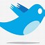 Image result for Twitter Icon Vector SVG