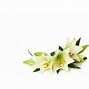 Image result for White Fleur De Lis Decor