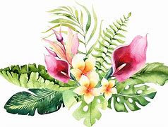 Image result for Watercolor Flower JPEG Clip Art