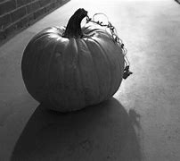 Image result for Autumn Pumpkin Coloring Pages