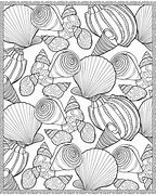 Image result for Sea Shells Coloring Pages Printable