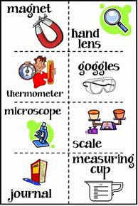 Image result for Fun 2nd Grade Science Worksheets