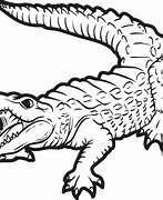 Image result for Realistic Alligator Coloring Pages