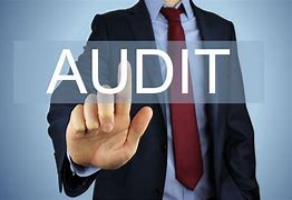 Image result for Audit Funny Pecture