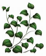 Image result for Leaf Vector Illustration