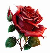 Image result for Rose 3D Vectorized