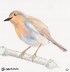 Image result for Bird On Branch Drawing