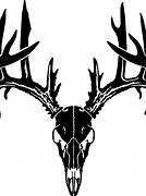 Image result for Mule Deer Skull Clip Art Black and White