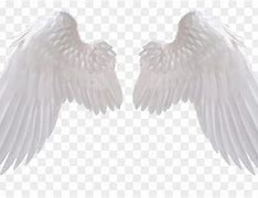 Image result for Angel Wings Clip Art No Background