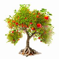 Image result for Apple Tree with Majors Vector