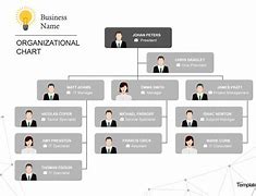 Image result for A 24 Organization Chart