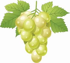 Image result for Grape Leaf Clip Art