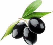 Image result for Simple Black Olive Branch