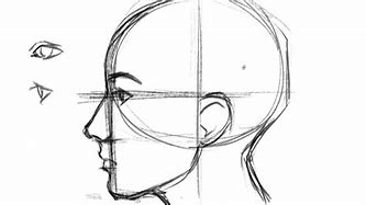 Image result for Head Side View Sketch