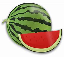 Image result for Watermelon Sketch