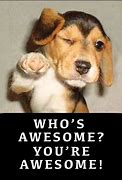 Image result for You're Awesome Dog Meme