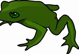 Image result for Frog ClipArt Clker