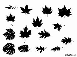 Image result for Tree Leaves Silhouette