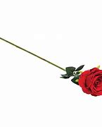 Image result for Single Stem Red Rose