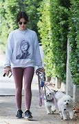 Image result for Grey Sweatshirt with Vinyl