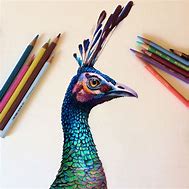 Image result for Color Pencil Art Drawings