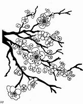 Image result for Anime Cherry Blossom Tree Drawing