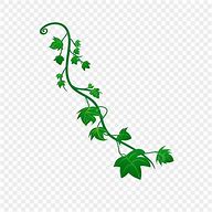 Image result for Clip Art Ivy Branch