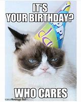 Image result for Grumpy Cat Happy Birthday Meme