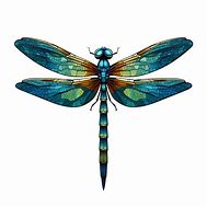 Image result for Dragon Fly Jones Silence Image PNG