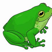 Image result for Frog ClipArt Clker