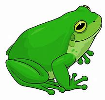 Image result for Clip Art Splasing Frog