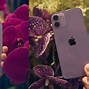 Image result for New Purple iPhone