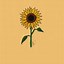 Image result for Cartoon Sunflower Wallpaper Aesthetic