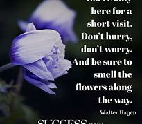 Image result for Quotes On Life Is Beautiful