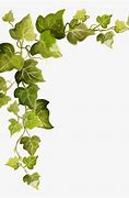 Image result for Leaf Vine Corner Border Clip Art