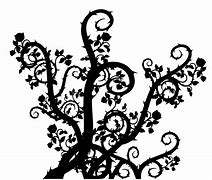 Image result for Rose Vine Frameborder